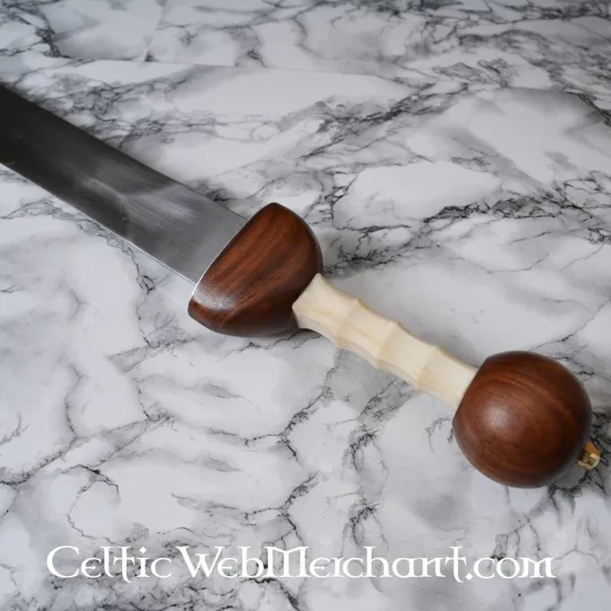 Deepeeka Gladius Pompeji 6 Deepeeka Gladius Pompeji – Bild 4