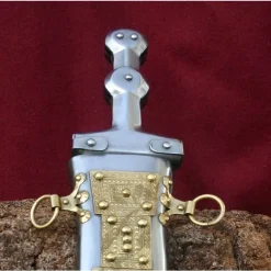 Deepeeka Pugio 1. Jahrhundert 9 Deepeeka Pugio 1. Jahrhundert -Schwerter Verkäufe pugio 1 jahrhundert 2