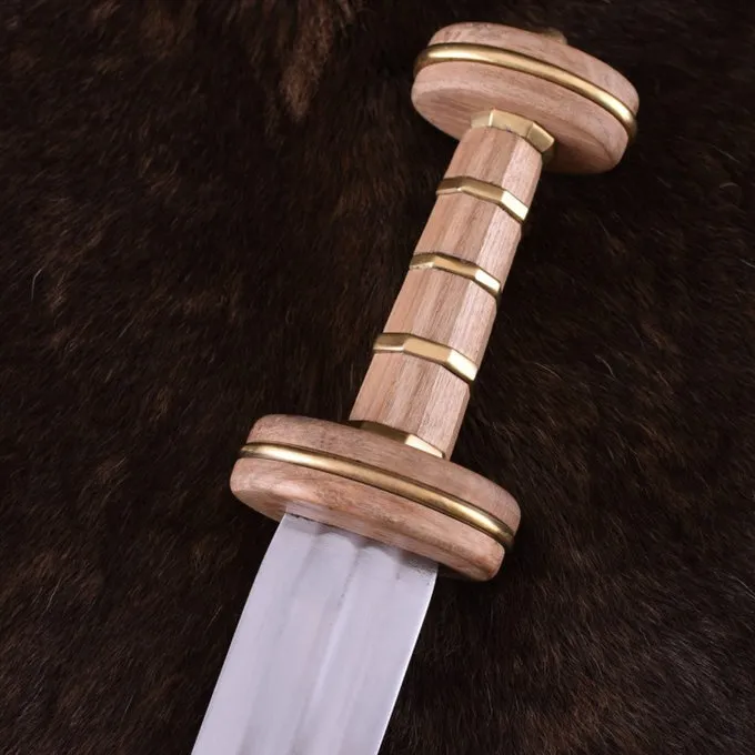 Deepeeka Roman Spatha Podlodów, 3. Jahrhundert AD 3 Deepeeka Roman Spatha Podlodów, 3. Jahrhundert AD